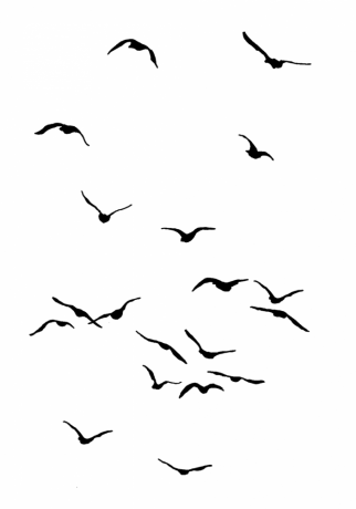 Birds 2